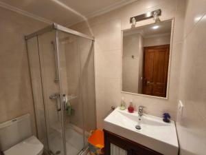 a bathroom with a shower and a sink and a toilet at El Herrador in Nájera