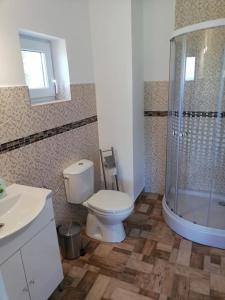 a bathroom with a toilet and a glass shower at Pensiunea Rozelor Stațiunea Climaterică Sâmbăta in Sâmbăta de Sus +49 photos