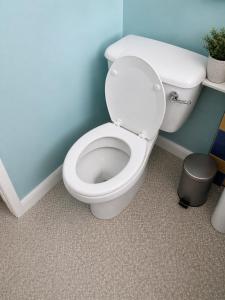 a bathroom with a white toilet in a blue wall at The Grimsby Heneage Stay in Grimsby