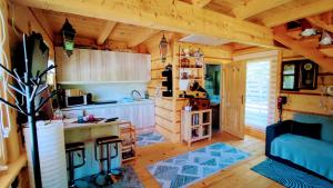 a kitchen and living room in a log cabin at Vila Vilinka & Vila Native Vilinija resort Village in Podčetrtek +18 photos