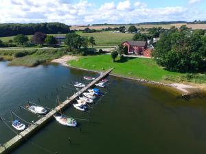 a group of boats docked at a dock in the water at Schleiblick App 9 in Rabenkirchen-Faulück