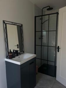 a bathroom with a sink and a shower with a mirror at Rosscarbery in Temple Bridge +4 photos