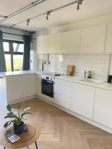 a kitchen with white cabinets and a potted plant at Rosscarbery in Temple Bridge