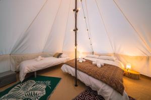 a room with two beds in a tent at Campement Ô Rêves in Genouilleux +36 photos