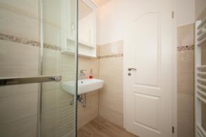 a bathroom with a sink and a glass shower door at Schleiblick App 2 in Rabenkirchen-Faulück