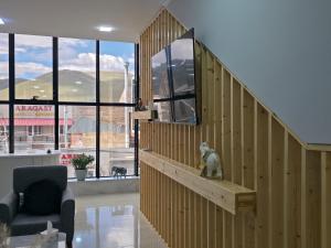 โทรทัศน์และ/หรือระบบความบันเทิงของ Art House
