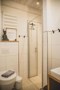 a bathroom with a shower and a toilet and a sink at Van Senden 5 Anni in Krummhörn +74 photos