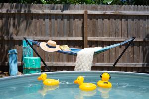 a group of rubber ducks in a swimming pool at Spacious 4 bedroom 3 bath Clearwater Vacation House Cowboy Pool Fire Pit Games Close to Clearwater Beach Biking Trail Farmers Markets Harbor Health Spa Baycare Ballpark and Ruth Eckerd Hall Golf Courses in Clearwater