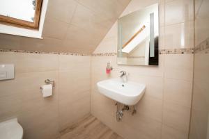a bathroom with a sink and a mirror at Schleiblick Familienappartement 13 in Rabenkirchen-Faulück +15 photos