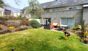 a dog standing in the yard of a house at Gîtes Pour Tous in Dragey