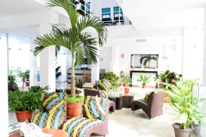 ein Zimmer mit Stühlen und Palmen in der Unterkunft Hotel Jungle House in Iquitos