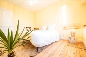 a bedroom with a white bed and a plant at Gîte cottage & spa in Joze +49 photos