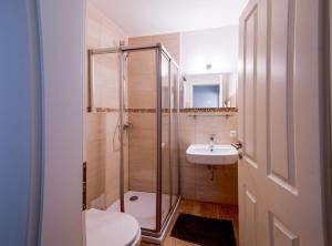 a bathroom with a shower and a toilet and a sink at Schleiblick App 17 in Rabenkirchen-Faulück