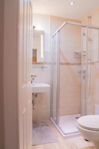 a bathroom with a shower and a toilet and a sink at Schleiblick App 19 in Rabenkirchen-Faulück