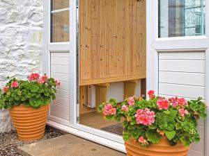 two pots of flowers in front of a door at Beachcmbers Cottage - Uk51638 in Carsethorn