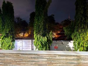 a group of trees in front of a building at night at Bo-Box Guesthouse & Female Only Capsule Lempuyangan - Khusus Wanita in Yogyakarta +4 photos