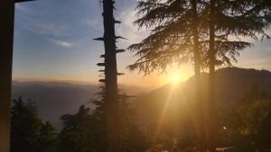a sun setting behind some trees in the mountains at ONHILLs in Mussoorie
