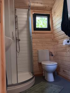 a small bathroom with a toilet and a window at La roulotte des foins in Montmaur