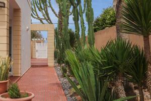 a garden with palm trees and a brick walkway at Spacious 3 bed 2 bath villa with Garden and Pool in Mirleft
