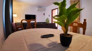 a plant sitting on a table in a living room at Ruralux Valentín in Calasparra