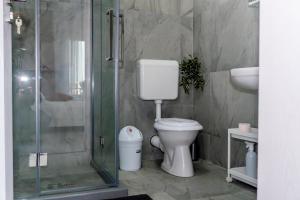 a bathroom with a toilet and a glass shower at R & A Resident in Năvodari