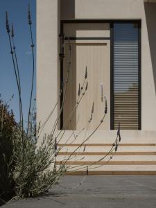 a front door of a house with stairs at The Habitus Residence, a Design house in Corfu