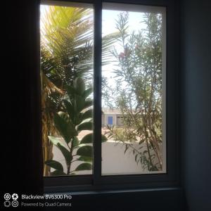 a window with a view of a palm tree at Ca Azul in Tarrafal