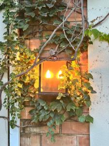 a light on the side of a brick wall with ivy at Pousada Manacá Exclusive Suítes in Rifaina
