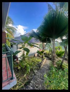 a balcony of a house with a palm tree at Les Nids Tropicaux in Marigot