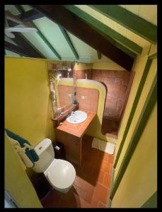 a small bathroom with a sink and a toilet at Les Nids Tropicaux in Marigot