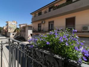 a balcony with purple flowers on a building at Zia Elisa Mare e Comfort - Tertenia in Tertenìa