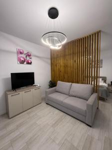 a living room with a couch and a television at Apartamente Baile Felix in Baile Felix
