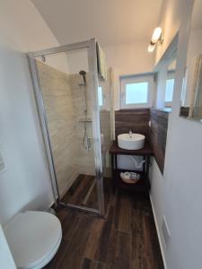 a bathroom with a shower and a toilet and a sink at Casa cu Flori in Buşteni