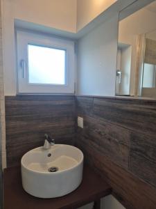 a bathroom with a sink and a mirror at Casa cu Flori in Buşteni