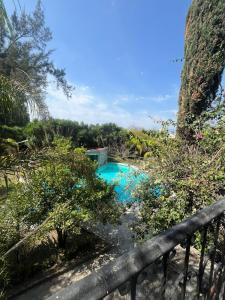 a swimming pool in the middle of a garden at Hotel Posada La Catrina in Ciudad Fernández +25 photos