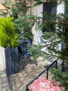 a patio with a table and chairs and plants at Riara Home in Vlorë