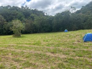 two tents in a field with trees in the background at Camping Cachoeira Bem Vinda in Itabirito