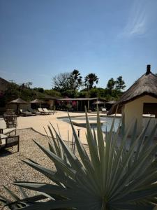 a large green plant in front of a resort at Nino Lodge in Samba Dia