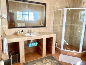 a bathroom with a sink and a shower with a mirror at Franschhoek Mountain Escape in Franschhoek
