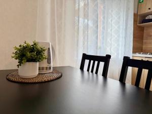 a table with a coffee maker and a plant on it at Imantas apartment in Daugavpils