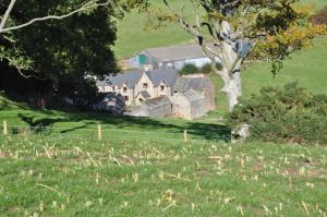 an old house in a field with a tree at Coombe Farm in Lynton