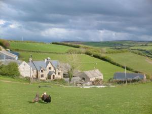 a house in a field with chickens in the grass at Coombe Farm in Lynton