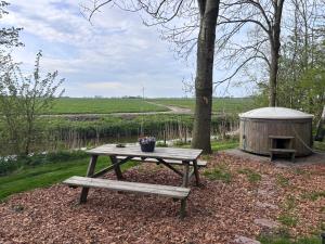 a picnic table and a yurt next to a tree at Pipowagen Utewyn in Reitsum