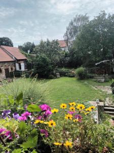 a garden with colorful flowers in a yard at Záboří 10 in Záboří