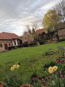 a garden with flowers in a yard at Záboří 10 in Záboří