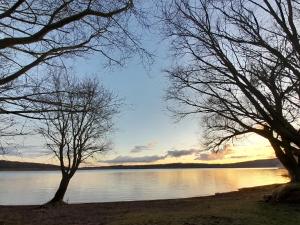 two trees on the shore of a lake at sunset at casamiacasatua in Ronciglione