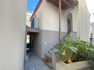 a hallway of a house with a potted plant at Hercules Historic Apartments in Chalkida