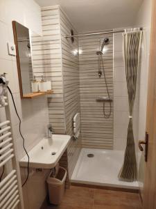 a bathroom with a shower and a sink and a tub at Apartma Silvester in Bovec +9 photos