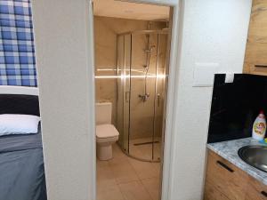a bathroom with a shower with a toilet and a sink at Baywatch Apartmans in Brca +11 photos