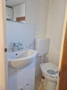 a white bathroom with a sink and a toilet at Mobilheim am Hafen in Gager